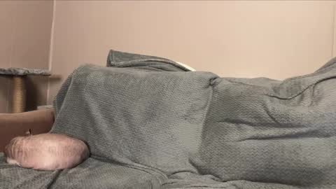 snowy_alice online show from October 11, 1:03 pm