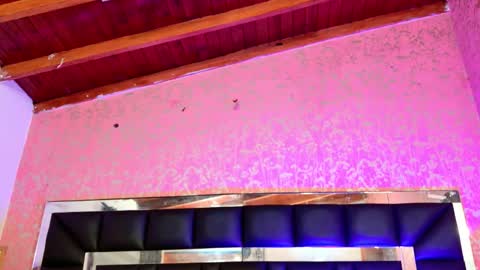 Sofia online show from October 31, 3:19 am