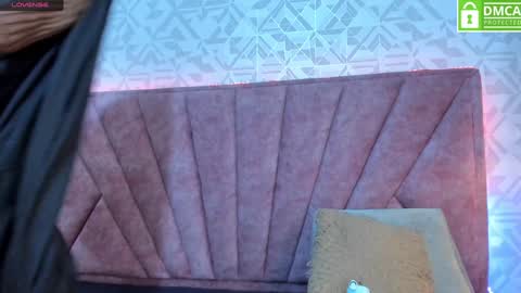 Snapshot of sofia_white3 chatting on December 22, 11:22 am Sofa online show from December 22, 11:22 am