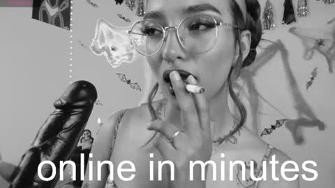 Sofia online show from February 1, 4:03 am