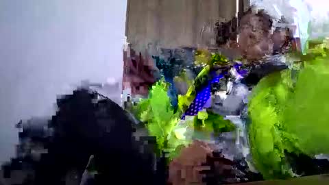 sofipame online show from February 9, 2:08 pm