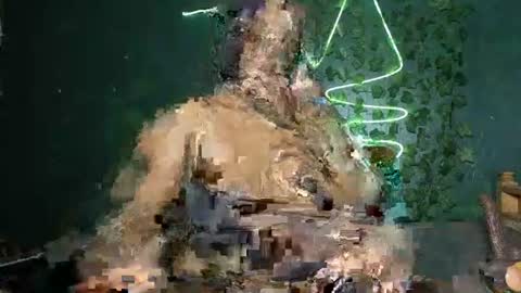 Solly bunny online show from July 16, 4:17 am