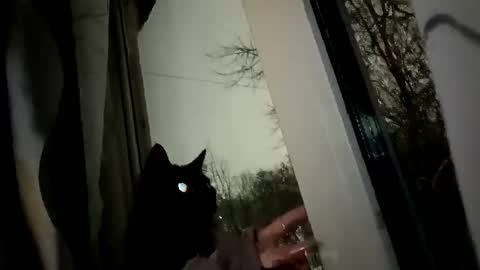 Sophie and my bestie Mandy    online show from January 2, 3:26 am