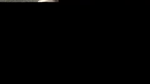 Snapshot of spicysam7901 chatting on December 11, 1:58 am Sammi online show from December 11, 1:58 am