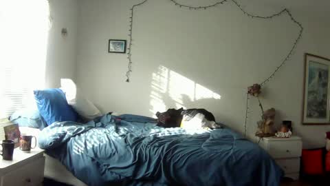 Rose online show from December 22, 1:44 pm