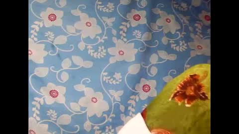 strevah9794 online show from February 27, 12:32 am