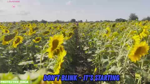 Snapshot of sunflower0907 chatting on October 20, 8:06 am Tina. Im topless model online show from October 20, 8:06 am