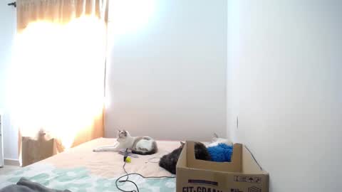 Susana online show from January 23, 4:59 pm