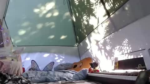 April online show from November 21, 4:20 pm