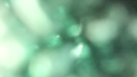 Snapshot of tamara_slimx chatting on December 14, 9:29 am Tamara online show from December 14, 9:29 am