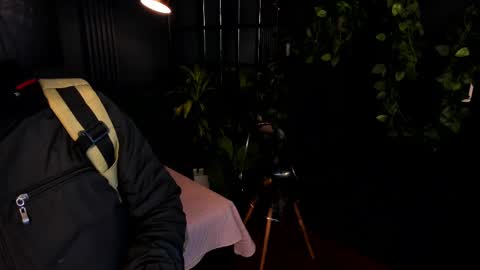 Snapshot of taylor_bennet chatting on February 9, 12:08 pm Taylor Bennet online show from February 9, 12:08 pm