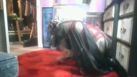 TheCannibalSalt online show from October 27, 2:07 am