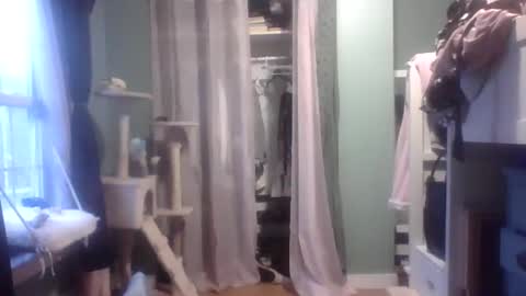 Little Bambii online show from January 27, 9:55 pm