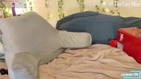 Tiny Blue online show from January 7, 6:33 pm