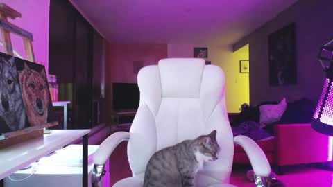 Snapshot of tinykylie chatting on October 14, 1:08 am stage Kylie Sinner brand CLITBAIT online show from October 14, 1:08 am