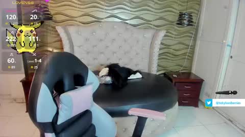 toky         online show from February 21, 8:05 pm