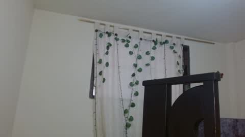 trebol_4 online show from July 26, 8:38 pm