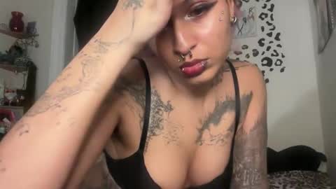turntpixie online show from May 3, 4:16 am