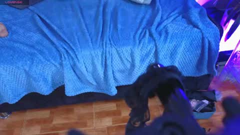 velvetfox_ online show from May 3, 9:29 pm