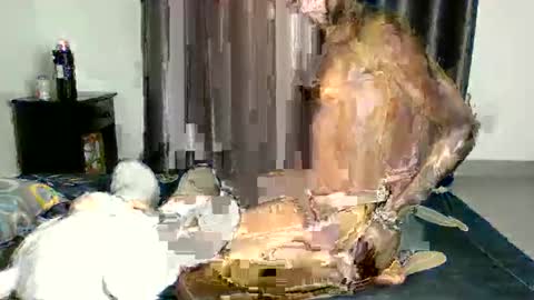 velvetvicky online show from June 4, 7:24 am