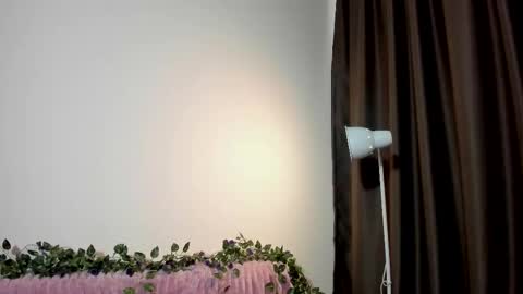 Sonya online show from November 27, 8:17 am