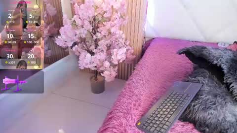 veronica_hill_ online show from June 24, 3:05 am