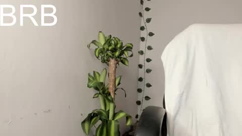 Snapshot of vianka_millerxxx chatting on February 24, 2:38 am Vianka online show from February 24, 2:38 am