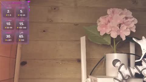 vickyvalencia2 online show from July 3, 3:23 am