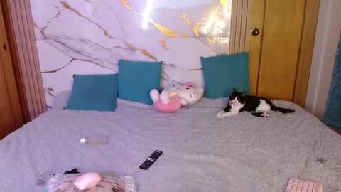 kitty SUPORT ME AND MY BABY SINGLE MOMY online show from May 15, 10:56 pm