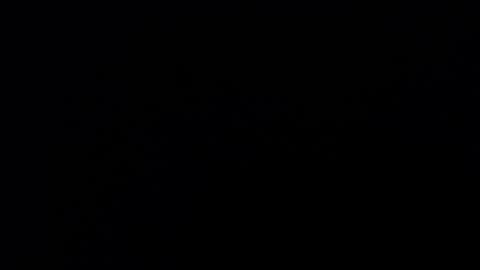 Annie online show from February 19, 9:03 pm