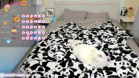 Snapshot of xwildrossyx chatting on October 15, 6:27 am xwildrossyx online show from October 15, 6:27 am