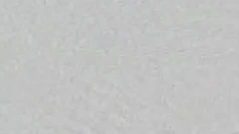ZOE online show from June 29, 12:06 am