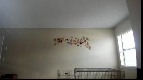 Zoie online show from March 1, 9:47 pm