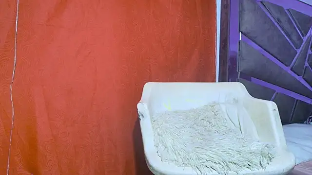 roxana collins online show from September 21, 9:19 am