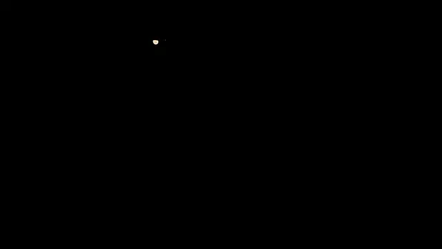 Sunny Mouse  online show from April 7, 7:49 pm