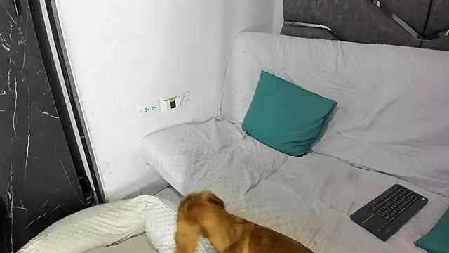 Latinos couples online show from January 7, 3:32 am