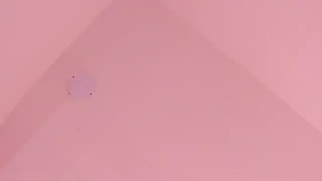 LoveQueen2 online show from November 18, 12:17 pm