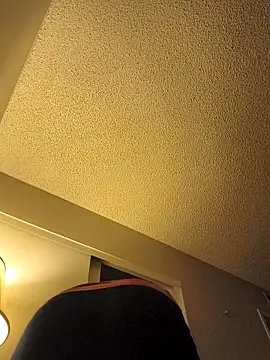 renegade vyxxen online show from November 28, 3:53 am