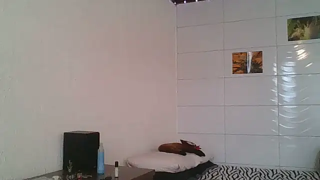 SweetyBabyDemon online show from October 8, 7:51 pm