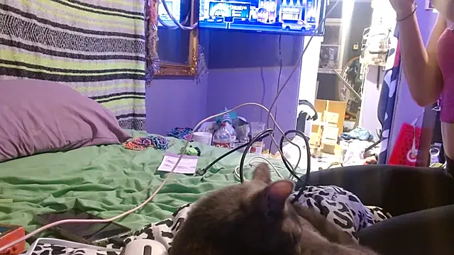 watermellonpussy online show from August 4, 8:42 am