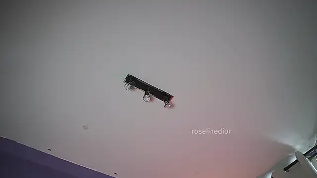 roselinedior online show from June 21, 7:07 pm
