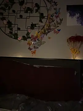  Neeka  online show from November 17, 3:51 am