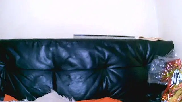 Bustypillows online show from July 10, 3:45 pm