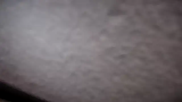 Windy butterfly online show from September 24, 4:06 pm