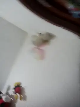  Miaaleon online show from March 18, 9:36 am