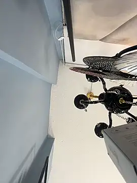 AnthonelaDuque online show from February 12, 11:45 am