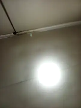 mloghyfsa online show from December 20, 5:17 pm