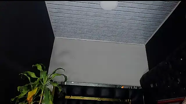 Snapshot of Kitie_Petarda chatting on October 19, 10:01 pm Kitie Petarda online show from October 19, 10:01 pm