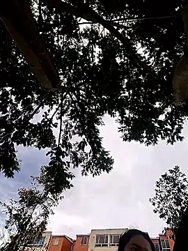 Snapshot of rebekka_simpson chatting on October 6, 2:56 pm rebekka simpson online show from October 6, 2:56 pm