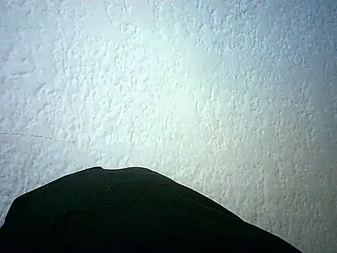 Bellabeltrann online show from January 14, 12:43 pm